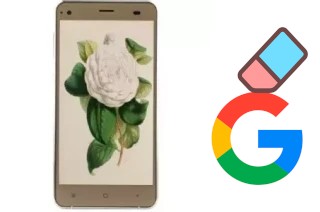 Comment supprimer le compte Google sur VC Camellia II