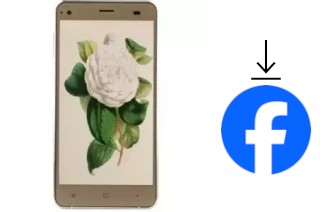 Comment installer Facebook sur un VC Camellia II