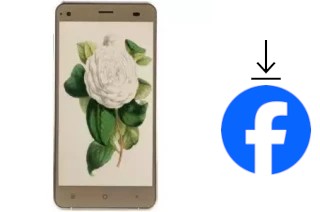 Comment installer Facebook sur un VC Camellia