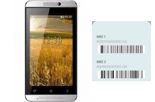 Comment voir le code IMEI dans Splash T401