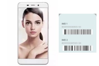 Comment voir le code IMEI dans M21S