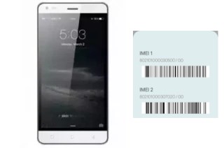 Comment voir le code IMEI dans F503