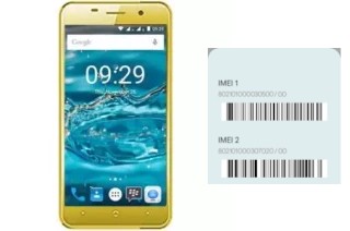 Comment voir le code IMEI dans Mito A39