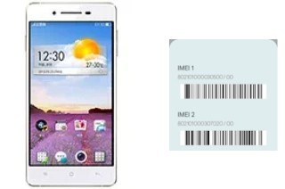 Comment voir le code IMEI dans R1 R829T