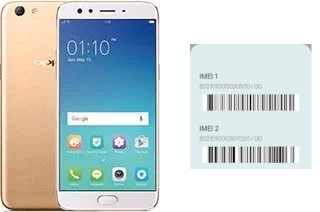 Comment voir le code IMEI dans F3 Plus