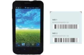 Comment voir le code IMEI dans PGM398