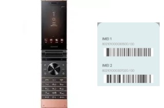 Comment voir le code IMEI dans W2019