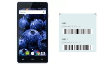 Comment voir le code IMEI dans Reiv 500