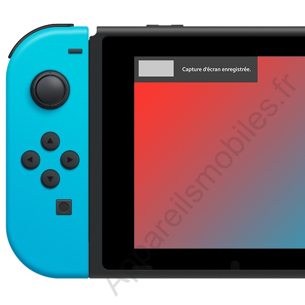 Notification de capture Nintendo Switch