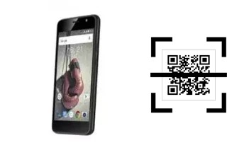 Comment lire les codes QR sur un Fly Knockout ?