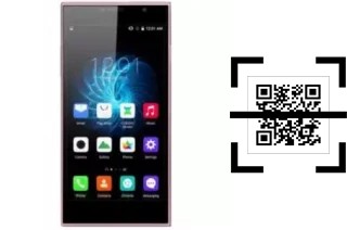 Comment lire les codes QR sur un KZEN Rex R2 ?