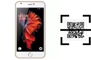 Comment lire les codes QR sur un L-Max Ester 1 ?