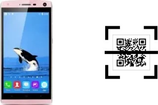 Comment lire les codes QR sur un Landvo V11 ?