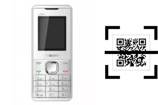 Comment lire les codes QR sur un Masstel C105I ?