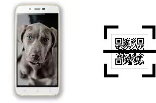 Comment lire les codes QR sur un Siswoo A6 Vanilla ?