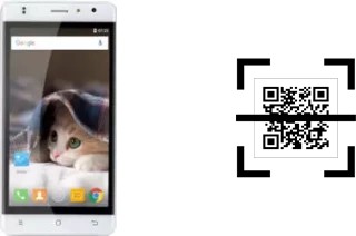 Comment lire les codes QR sur un Timmy M50 ?