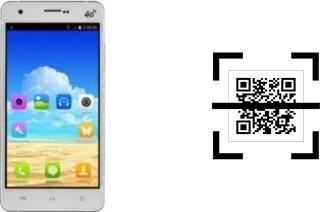 Comment lire les codes QR sur un UMi Hammer ?