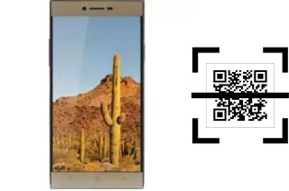 Comment lire les codes QR sur un VC Cactus ?