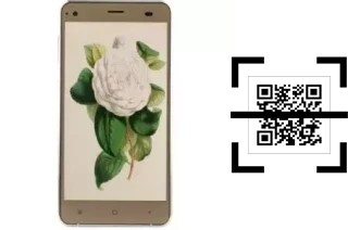 Comment lire les codes QR sur un VC Camellia II ?