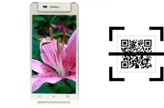 Comment lire les codes QR sur un VC Lily ?