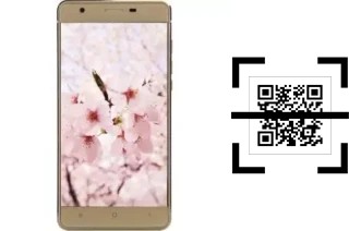 Comment lire les codes QR sur un VC Sakura II ?