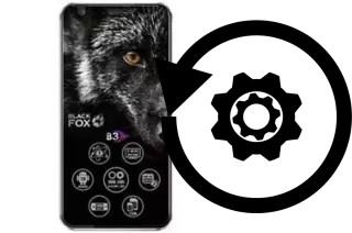 Comment réinitialiser ou reset un Black Fox B3 Fox