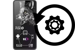 Comment réinitialiser ou reset un Black Fox B6