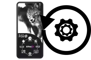 Comment réinitialiser ou reset un Black Fox B7