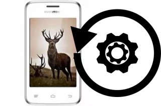 Comment réinitialiser ou reset un Evertek Evertrendy II