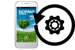 Comment réinitialiser ou reset un KENEKSI Norma