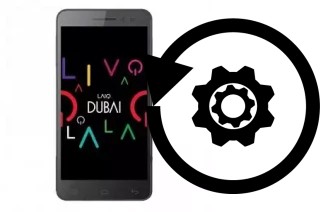 Comment réinitialiser ou reset un Laiq Dubai