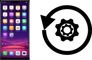 Comment réinitialiser ou reset un Oppo R15 Dream Mirror