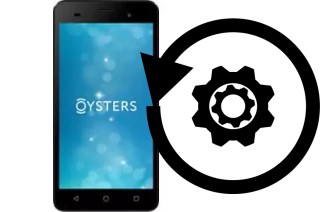 Comment réinitialiser ou reset un Oysters Pacific E