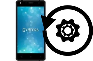 Comment réinitialiser ou reset un Oysters Pacific I4G