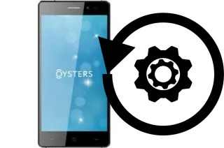 Comment réinitialiser ou reset un Oysters Pacific VS