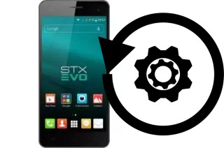 Comment réinitialiser ou reset un Stonex STX EVO