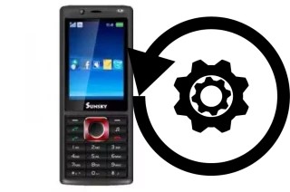 Comment réinitialiser ou reset un Sunsky S810