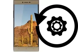 Comment réinitialiser ou reset un VC Cactus