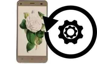 Comment réinitialiser ou reset un VC Camellia II