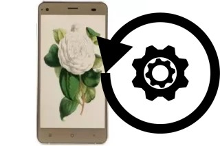 Comment réinitialiser ou reset un VC Camellia