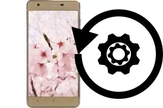 Comment réinitialiser ou reset un VC Sakura II