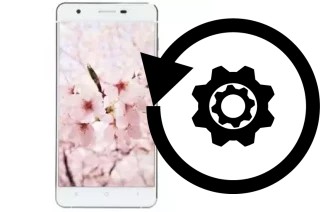 Comment réinitialiser ou reset un VC Sakura