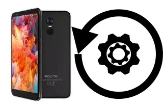 Comment réinitialiser ou reset un Wieppo S8