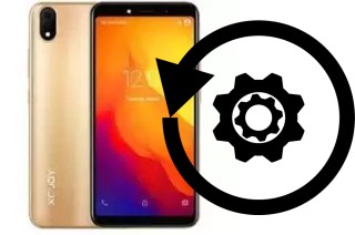 Comment réinitialiser ou reset un Xgody P20