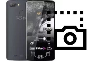 Capture d’écran sur Black Fox B5