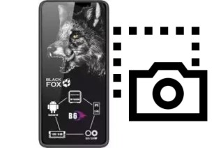 Capture d’écran sur Black Fox B6