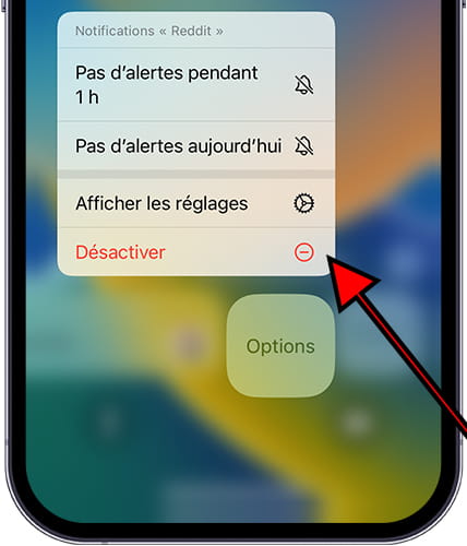 Désactiver les notifications iOS