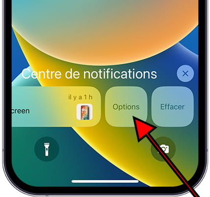 Options de notification iOS