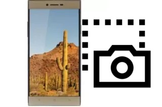 Capture d’écran sur VC Cactus