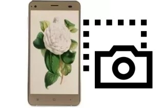 Capture d’écran sur VC Camellia II